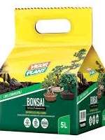 Bonsai Bonsai