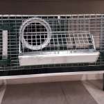 Vendita-animali-gabbie-Mundi