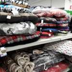 Vendita-cuscini-cani-Mundi