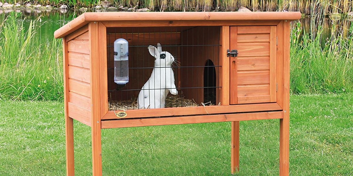 Attrezzature animali da cortile