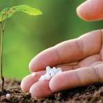 intro-concimi-fertilizzanti-ok