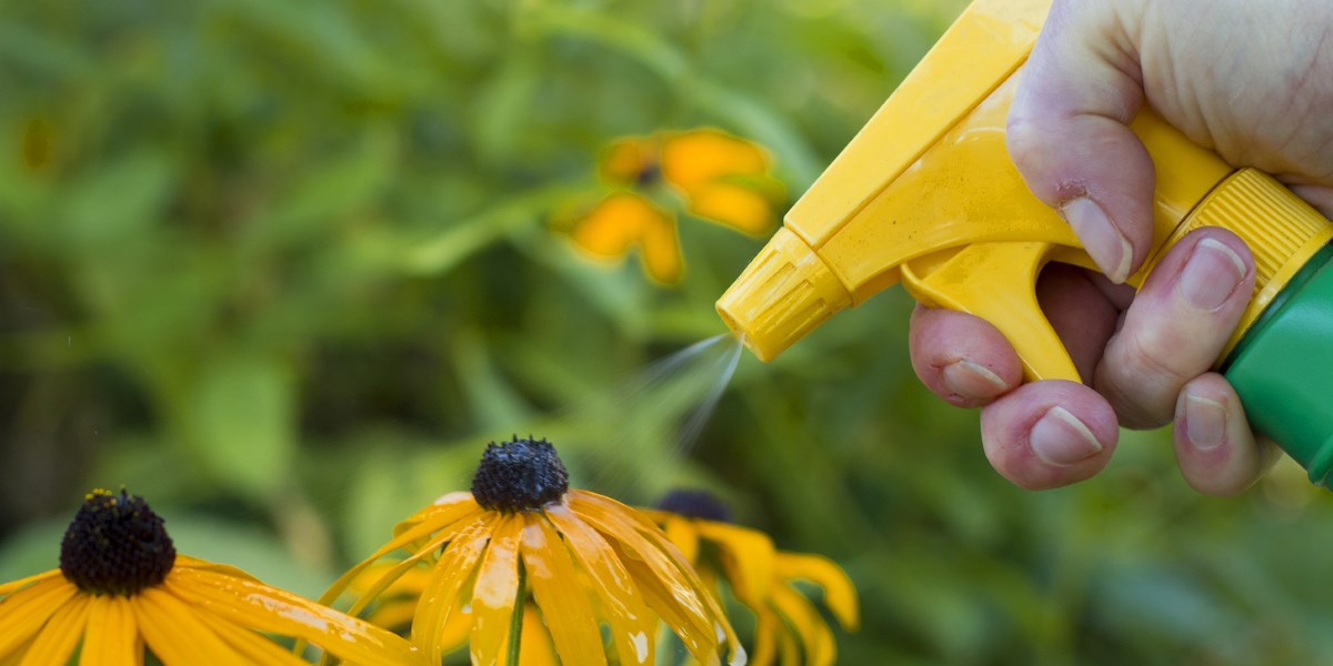 Diserbanti, insetticidi, anticrittogamici