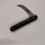 .trashed-1732183203-IMG_20241018_123056