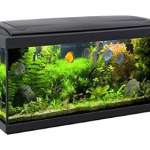 vendita-acquari-mundi-siena