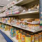 vendita-mangimi-gatto-Mundi