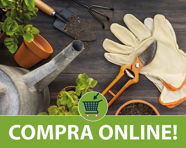 compra-online-MUNDI-min giardinaggio